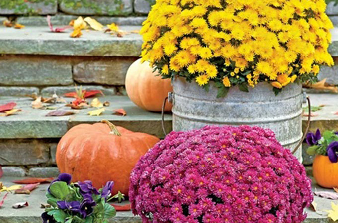 Easy Ways to Change Your Décor for the Season